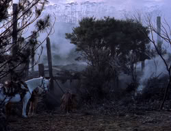 extant_XenaWarriorPrincess_5x05-ThemBonesThemBones_1788