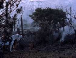 extant_XenaWarriorPrincess_5x05-ThemBonesThemBones_1790