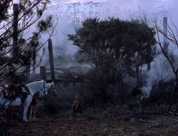 extant_XenaWarriorPrincess_5x05-ThemBonesThemBones_1792