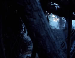 extant_XenaWarriorPrincess_5x05-ThemBonesThemBones_1796