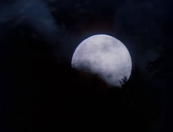 extant_XenaWarriorPrincess_5x05-ThemBonesThemBones_1913