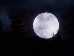 extant_XenaWarriorPrincess_5x05-ThemBonesThemBones_1917