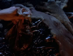 extant_XenaWarriorPrincess_5x05-ThemBonesThemBones_1963