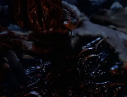 extant_XenaWarriorPrincess_5x05-ThemBonesThemBones_1966