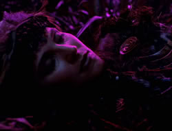extant_XenaWarriorPrincess_5x05-ThemBonesThemBones_2052