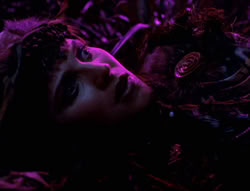 extant_XenaWarriorPrincess_5x05-ThemBonesThemBones_2056