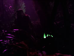 extant_XenaWarriorPrincess_5x05-ThemBonesThemBones_2065