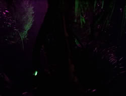 extant_XenaWarriorPrincess_5x05-ThemBonesThemBones_2070