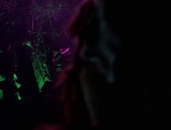 extant_XenaWarriorPrincess_5x05-ThemBonesThemBones_2079