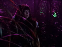 extant_XenaWarriorPrincess_5x05-ThemBonesThemBones_2082