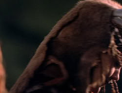 extant_XenaWarriorPrincess_5x05-ThemBonesThemBones_2585