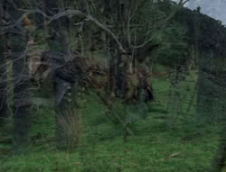 extant_XenaWarriorPrincess_5x05-ThemBonesThemBones_2598
