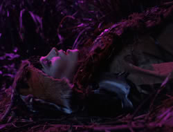 extant_XenaWarriorPrincess_5x05-ThemBonesThemBones_2791