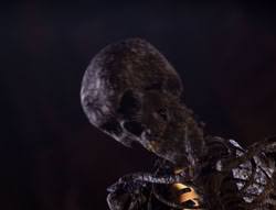 extant_XenaWarriorPrincess_5x05-ThemBonesThemBones_2904