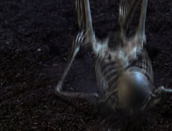 extant_XenaWarriorPrincess_5x05-ThemBonesThemBones_3068