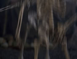 extant_XenaWarriorPrincess_5x05-ThemBonesThemBones_3072