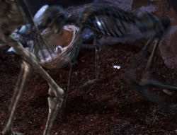 extant_XenaWarriorPrincess_5x05-ThemBonesThemBones_3118