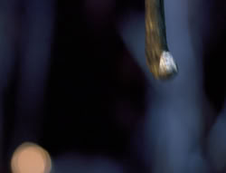 extant_XenaWarriorPrincess_5x05-ThemBonesThemBones_3166