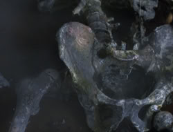 extant_XenaWarriorPrincess_5x05-ThemBonesThemBones_3230
