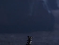 extant_XenaWarriorPrincess_5x05-ThemBonesThemBones_3241