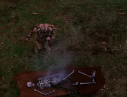 extant_XenaWarriorPrincess_5x05-ThemBonesThemBones_3253