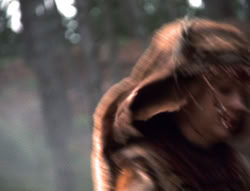 extant_XenaWarriorPrincess_5x05-ThemBonesThemBones_3291