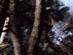 extant_XenaWarriorPrincess_5x05-ThemBonesThemBones_3532