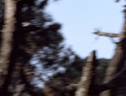 extant_XenaWarriorPrincess_5x05-ThemBonesThemBones_3533