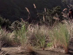 extant_XenaWarriorPrincess_5x06-Purity_0037