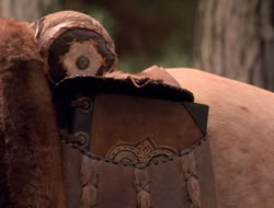 extant_XenaWarriorPrincess_5x06-Purity_0767