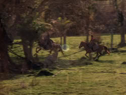 extant_XenaWarriorPrincess_5x06-Purity_0777