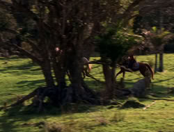 extant_XenaWarriorPrincess_5x06-Purity_0778
