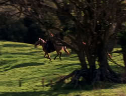 extant_XenaWarriorPrincess_5x06-Purity_0779