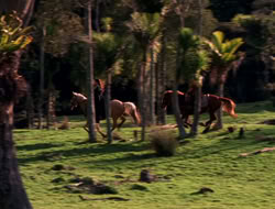 extant_XenaWarriorPrincess_5x06-Purity_0783