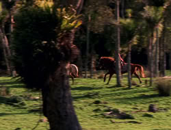 extant_XenaWarriorPrincess_5x06-Purity_0784