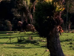 extant_XenaWarriorPrincess_5x06-Purity_0785