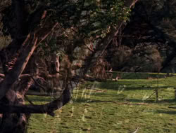 extant_XenaWarriorPrincess_5x06-Purity_0788