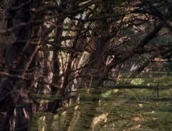 extant_XenaWarriorPrincess_5x06-Purity_0789