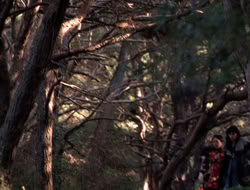 extant_XenaWarriorPrincess_5x06-Purity_0792