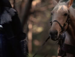 extant_XenaWarriorPrincess_5x06-Purity_0905