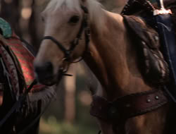 extant_XenaWarriorPrincess_5x06-Purity_0906