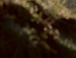 extant_XenaWarriorPrincess_5x06-Purity_0980