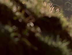 extant_XenaWarriorPrincess_5x06-Purity_0982