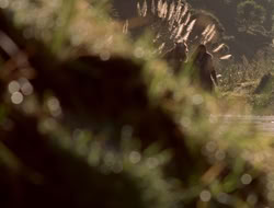 extant_XenaWarriorPrincess_5x06-Purity_0985