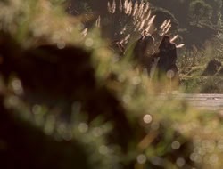 extant_XenaWarriorPrincess_5x06-Purity_0986