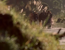 extant_XenaWarriorPrincess_5x06-Purity_0988