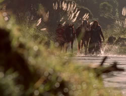 extant_XenaWarriorPrincess_5x06-Purity_0989