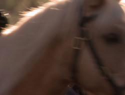 extant_XenaWarriorPrincess_5x06-Purity_1019