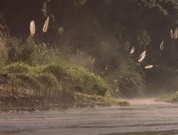 extant_XenaWarriorPrincess_5x06-Purity_1037