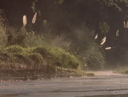 extant_XenaWarriorPrincess_5x06-Purity_1038